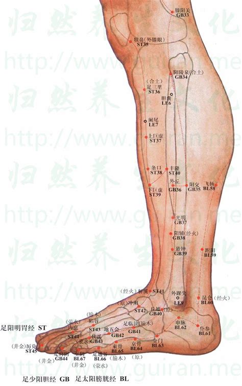 九地 鐘放的位置